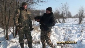 Такса или Ягдтерьер.