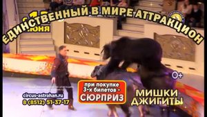 Цирк Астрахань