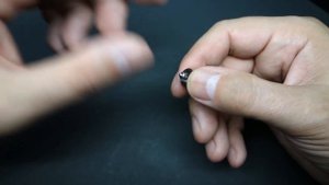 Grizzly by Bear Lair Mods.