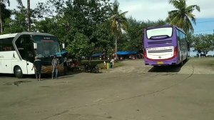 bismania Indonesia || MANTAN SOPIR MILIKI BUS PARIWISATA || EDDY TRANSPORT RAYA || Java cctv