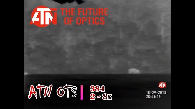 ATN OTSHD 384 2-8x scanner смотреть онлайн
