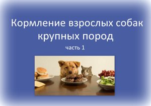 Кормление взрослых собак крупных пород часть 1