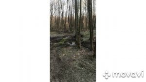 Linhay 300. Покатухи