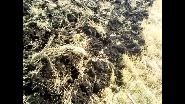 РОСТСЕЛЬМАШ немного о компьютере. смотреть онлайн