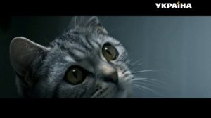 Реклама корма для котов Whiskas (1) (ТРК Украина, апрель 2019)