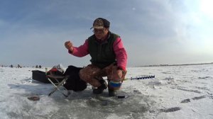 Ловля воблы на безмотылку. Часть третья.