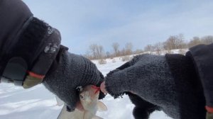 ЛОВЛЯ ПОДЛЕЩИКА НА МОРМЫШКУ|Полезная вещь на зимней рыбалке