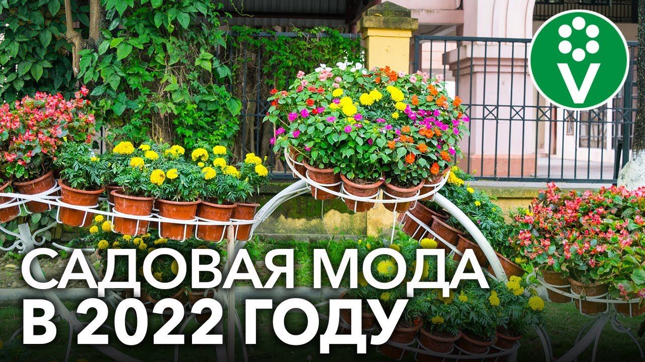 СОВРЕМЕННЫЕ ТЕНДЕНЦИИ В ЛАНДШАФТНОМ ДИЗАЙНЕ, который может применить каждый на своем участке