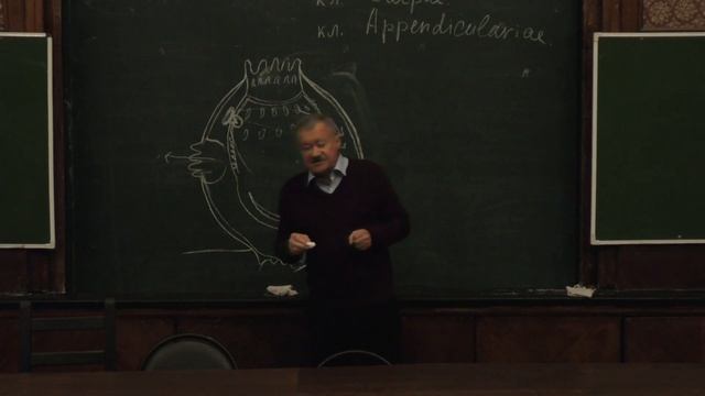 Корзун Л. П. - Зоология позвоночных - Оболочники