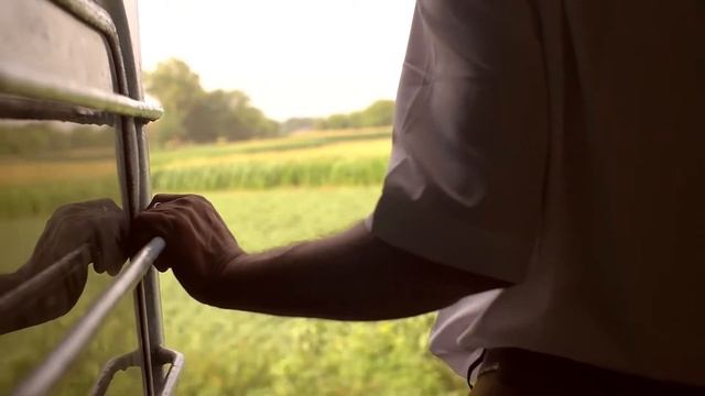 Осознанность смотреть онлайн