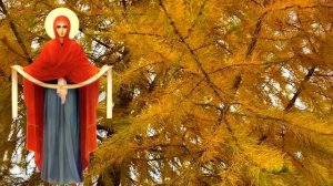 14 октября Покров. Что нельзя делать на Покров 14 октября. Народные традиции и приметы и суеверия