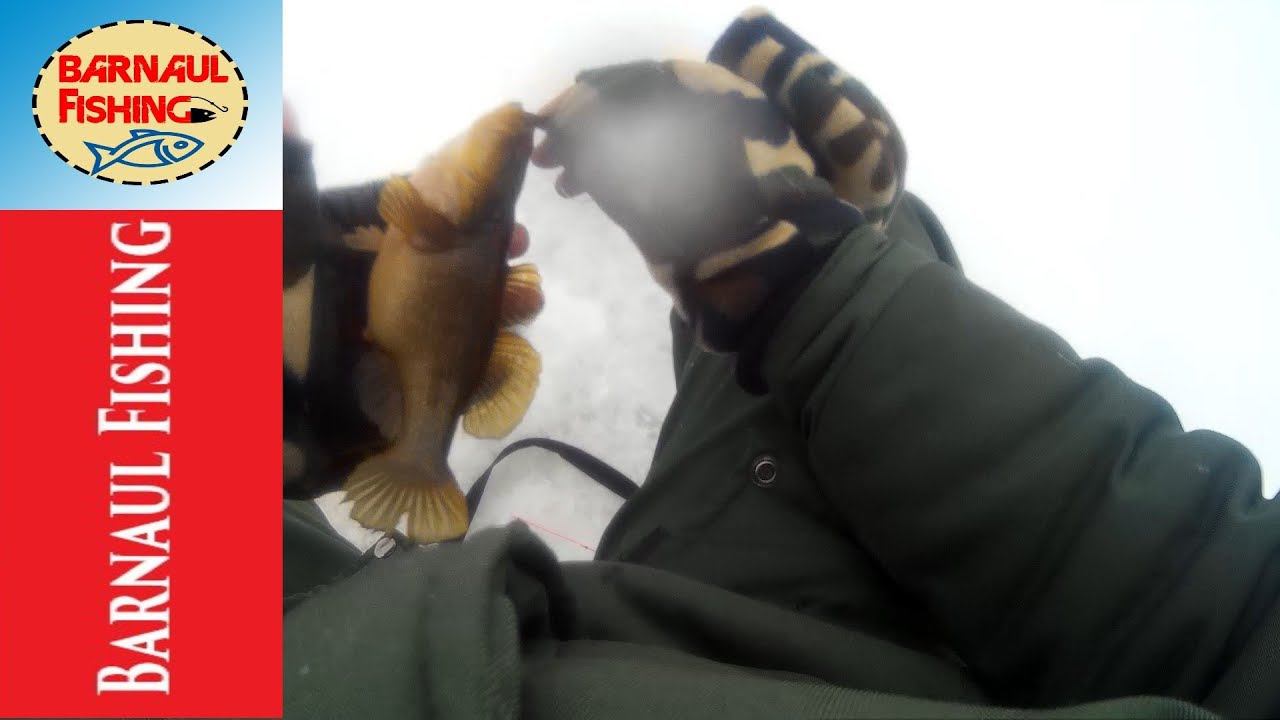 Зимняя Рыбалка на РОТАНА!Открытие. (Barnaul Fishing)
