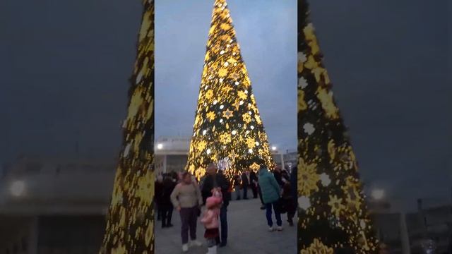 Симферополь. вечером сегодня видео открытие главной новогодней ёлки 2023 площади Ленина ?