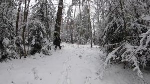 А у нас зима пришла Зимний коп 2018 #005