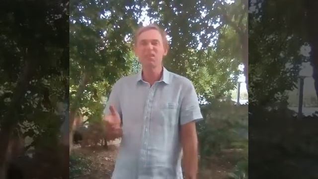 Наши Сусанины Только друзья. Мы в каждый город с добром идем! смотреть онлайн