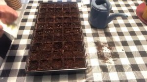 Flower Seeds I'm Starting Indoor this Winter 2022 - Sowing Seeds in February