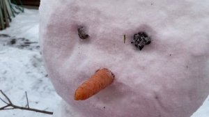 Как слепить снеговика из рыхлого снега. Наша маленькая традиция❤️