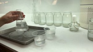 The Future of Houseplants: Tissue Culture (TC)