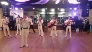 MARIACHI HALCONES DE MEXICO DE DALLAS TX    MEDIAS NEGRAS
