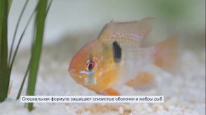 Кондиционер для подготовки аквариумной воды Tetra AquaSafe