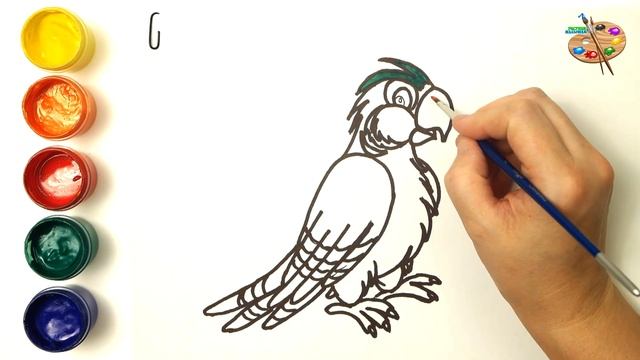 Раскраска для детей ПОПУГАЙ. Как нарисовать Попугая. РАСКРАСКИ МАЛЫШАМ