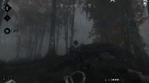 Hunt Showdown #030 Down