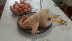 Куры Мастер Грей самые выгодные.Они мясные и строчат яйца ,как из пулемета.