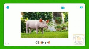 Свинья - Карточки Для Детей - Домашние Животные - Карточки Домана