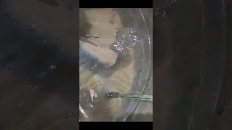 Бесконечная вода из колодца после мучений!
