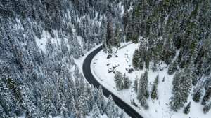 Известный блогер-путешественник посетит Югру