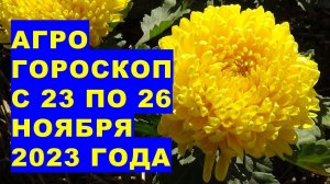 Агрогороскоп с 23 по 26 ноября 2023 года. Agrohoroscope from November 23 to 26, 2023