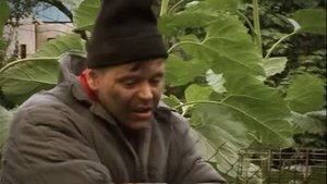 Алкаши на даче