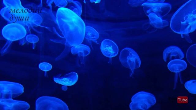 Очень красивая, спокойная музыка для Души смотреть онлайн