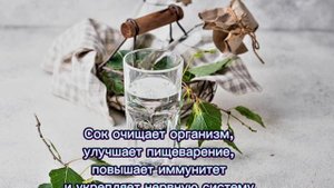 Березовый сок: вкусно и полезно!