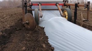 Туннелеукладчик. Видео от коллеги.