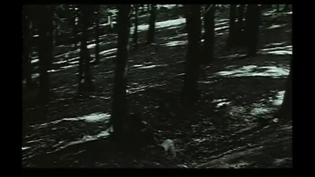 Predciuvstvie смотреть онлайн