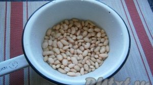 Фасоль, тушёная с грибами в томатном соусе