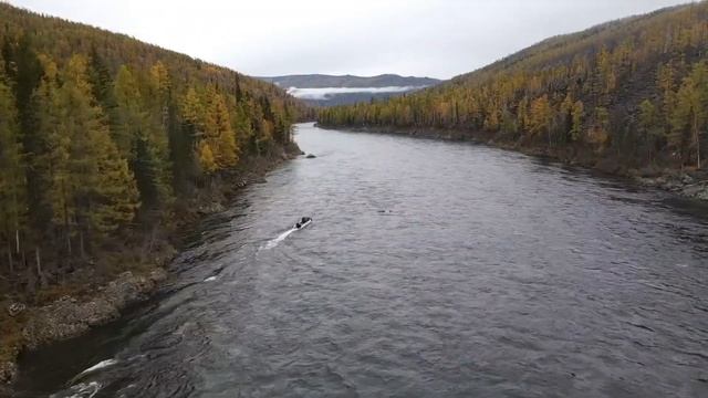 Обзор лодки Солар (Solar) 555 и мотора Меркури (Mercury) 40 jet смотреть онлайн