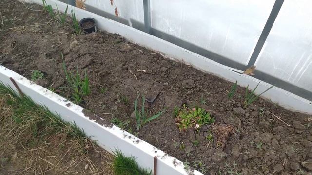 МОЯ МОРКОВКА В СНЕГУ | НАЧИНАЕМ ОБУСТРОЙСТВО ДАЧИ | ПЕРВОЦВЕТЫ смотреть онлайн