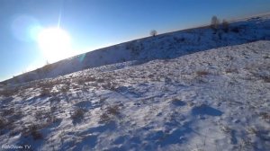 РАСПУТЫВАЕМ СВЕЖИЙ СЛЕД! ПОДПУСТИТ? Охота на зайца троплением 2023-2024.