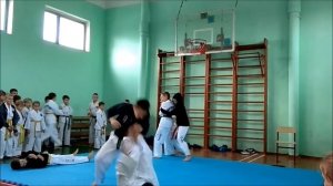 теквандо 06 12 2017