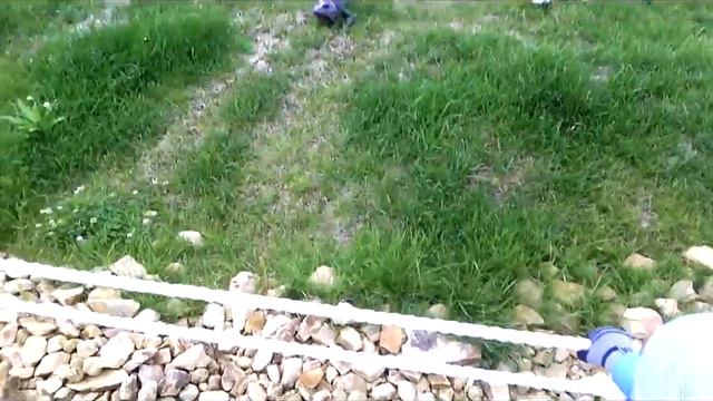 Юркин Парк Казань Парк динозавров