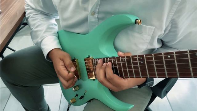 Mycelium spirit - Cesar Olvz (guitar playthrough) смотреть онлайн