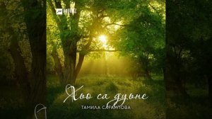 Мичахь лела са безам