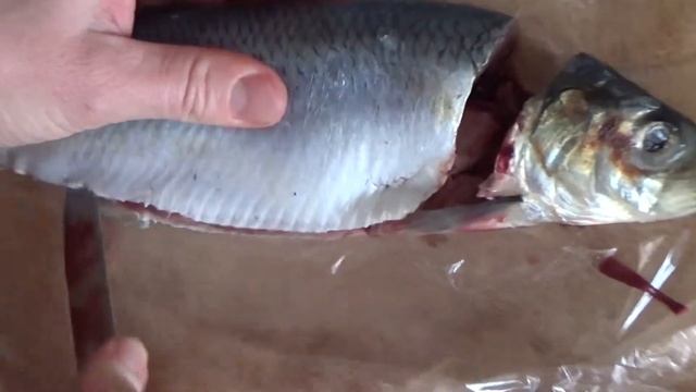 Маринованная соленая рыба смотреть онлайн