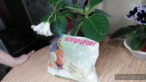 ГРУНТ ДЛЯ ГЛОКСИНИИ
