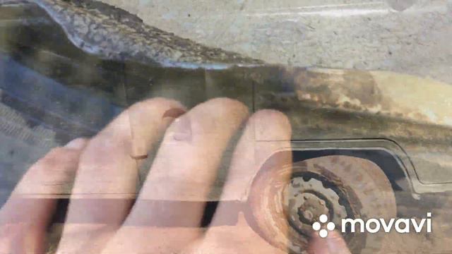 Посевная в охотхозяйстве смотреть онлайн