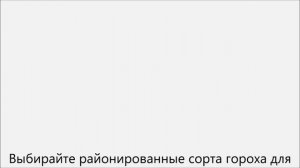 Как вырастить горох