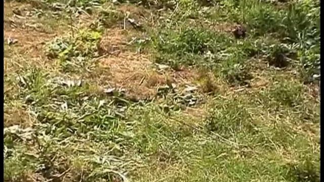 Живая вода святых источников. Самарская область смотреть онлайн