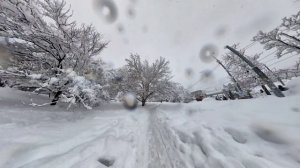 24 января  Снежно шо пипец